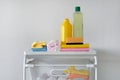 Detergent for cleaning room. Dry cleaning concept. Plastic bottles with cleaning agent and tools. Regular washing Royalty Free Stock Photo