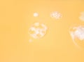Detergent Foam Texture Background, Lather Pattern, Soap Bubbles on Yellow Color Surface, Soap Foam