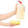 Detergent for utensils and yellow sponge in hand