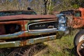 Rusted vintage car in the wilderness