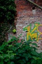 Deteriorated graffiti brick wall nature , Leuven, Belgium