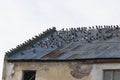 Deteriorated roof Royalty Free Stock Photo