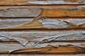 Deteriorated wooden door with varnish peeling off Royalty Free Stock Photo