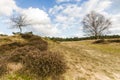 Deteriorating weather over nature in Spring Royalty Free Stock Photo