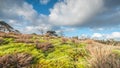 Deteriorating weather over nature in Spring Royalty Free Stock Photo