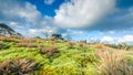 Deteriorating weather over nature in Spring Royalty Free Stock Photo