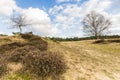 Deteriorating weather over nature in Spring Royalty Free Stock Photo