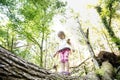 Determined little girl scout standing on a log in the woods Royalty Free Stock Photo