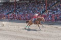 Determined woman pushes horse to finish line at barrel racing competition