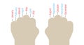 Determining the length of months by knuckles. Vector illustration