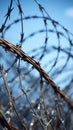 Deterrent boundary Barbed wire guards the confines of restricted territory Royalty Free Stock Photo