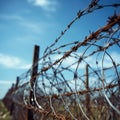 Deterrent boundary Barbed wire guards the confines of restricted territory Royalty Free Stock Photo