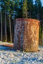 A detonation barrel in a quarry.