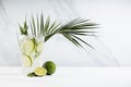 Detox cold lime lemonade with ice cubes, lime slices, rosemary twig, ingredients, green palm leaf in transparent glass on white. Royalty Free Stock Photo