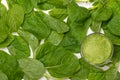 Detox concept. Glass jar of fresh drink green smoothie, spinach Royalty Free Stock Photo