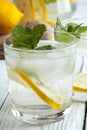 Detox drink with mineral water, lemon and mint Royalty Free Stock Photo