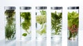 Detox drinks in beautiful jars are on the table against a blurred background. Eco products. Generative AI Royalty Free Stock Photo