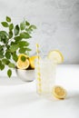 Detox fresh lemon juice of ripe lemons with ice in glass with ingredients in silver bowl, green branch in summer sunlight on white Royalty Free Stock Photo