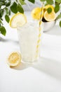 Detox fresh lemon juice of ripe lemons with ice in glass with ingredients in silver bowl, green branch in summer sunlight on white Royalty Free Stock Photo