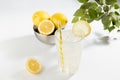 Detox fresh lemon juice of ripe lemons with ice in glass with ingredients in silver bowl, green branch in summer sunlight on white Royalty Free Stock Photo