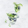 Detox water with blueberry, cucumber and thyme Royalty Free Stock Photo