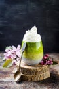 Detox ombre layered matcha green tea chia seed pudding. Vegan dessert with coconut milk. Healthy vegetarian breakfast