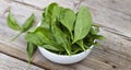 Detox product. Fresh spinach baby`s leaves in a white bowl against a wooden background. Concept: vegetarian food, healthy food. Royalty Free Stock Photo