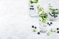 Detox water with blueberry, cucumber and thyme Royalty Free Stock Photo