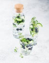 Detox water with blueberry, cucumber and thyme Royalty Free Stock Photo