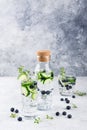 Detox water with blueberry, cucumber and thyme Royalty Free Stock Photo