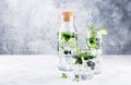 Detox water with blueberry, cucumber and thyme Royalty Free Stock Photo