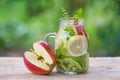Detox water with kiwi ,lemon and red apple Royalty Free Stock Photo
