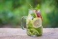 Detox water with kiwi ,lemon and red apple Royalty Free Stock Photo