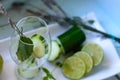 Detox water with lime, mint, cucumber Royalty Free Stock Photo