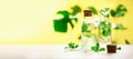 Detox water with mint, lemon and tropical monstera leaves on yellow background. Banner with copy space. Citrus lemonade Royalty Free Stock Photo