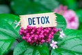 Detox in wooden card Royalty Free Stock Photo