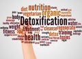 Detoxification word cloud and hand with marker concept Royalty Free Stock Photo