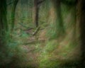 The detritus of the forest floor Impressionist photograph