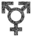 Detritus Mosaic Polyandry Sex Symbol Icon