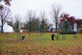 Detroit Zoo staff work on Christmas light display