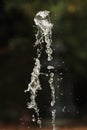 Schizzo di acqua - splash of water