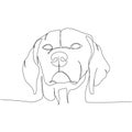 Deutsch Kurzhaar, German Shorthaired Pointer, hunting dog, pointing dog, bird dog one line art. Continuous line drawing Royalty Free Stock Photo