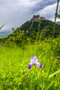 Landscape at the springtime with Deva citadel, Romania Royalty Free Stock Photo