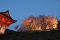 Deva gate or Niomon and Sakura tree Royalty Free Stock Photo