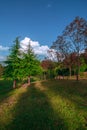 Devaria Tal Meadow - Uttrakhand