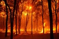 Devastating Forest Fire Engulfs Searing Woodland, Prompting Urgent Emergency Response Royalty Free Stock Photo
