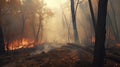 Devastating Forest Fire Engulfs Trees. Stock Image for News Articles and Reports. Royalty Free Stock Photo