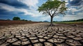 The Devastating Impact of Climate Change. Desiccation and Desertification of Earths Landscapes.