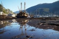 Devastating oil spill fishing boats amidst ocean pollution, wildlife in peril, and darkened skies