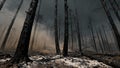 Devastating wildfire aftermath burnt forest landscape environmental disaster Royalty Free Stock Photo